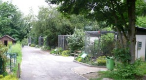 Der Linzer Zoo Der Linzer Zoo