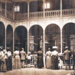 Blick in das historische Affenhaus im Tiergarten Schönbrunn anno 1907.