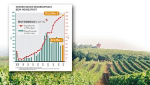 Weinexport 2012_Foto VWM