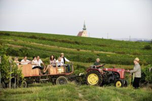 Das Weinviertel - gesellige Menschen gepaart mit einer wunderbaren Landschaft. Foto: manfredhorvath.at