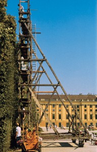 Die Alleen und Hecken Schönbrunns sind weltweit für ihren exakten Schnitt bekannt. Diese Schnittqualität wird durch den jährlichen Schnitt (Juni - Oktober) gewährleistet. Foto: Michalski