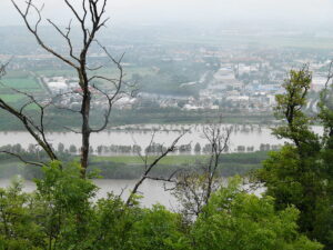  Weite Teile der Aulandschaft sind bereits überflutet. Doch genau dafür wurde die Neue Donau dereinst konzipiert, um Wien vor Hochwasser zu schützen. Foto: oepb 