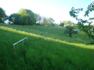 Die Hohe Warte Arena im Mai 2011. Foto: oepb 