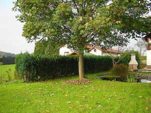 DSC01087