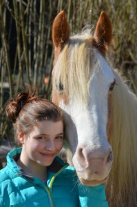 Bild 2
