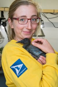  Ziehmutter Anne-Gabriela Schmalstieg mit einem der Küken. Foto: Daniel Zupanc