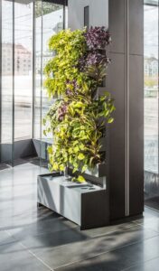 ... setzt bellaflora / Die Grüne Nummer 1 verstärkt auf den Innenraum. Beide Fotos: bellaflora