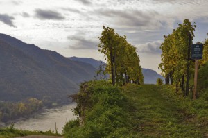 Blick auf die Wachau in Niederösterreich. Foto: ÖWM / Gerhard Trumler