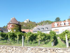 Blick auf die Burgruine Dürnstein in der Wachau und die sehr zahlreich ...