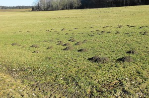 ... "unter Tage" wird im Schichtbetrieb "malocht". Beide Fotos: oepb