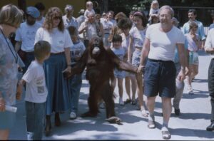 Nonja Mitte der 1980er Jahre, damals rund 9 Jahre, mit Zoopädagogin Gaby Schwammer und Tierpfleger Gerhard Mategka. Foto: Tiergarten Schönbrunn