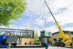 Tuluba wird für den Transport verladen. Foto: Daniel Zupanc