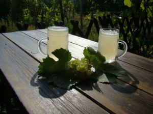 Wien ist natürlich auch bekannt für seine zahlreichen Heurigen. Und wenn zur Wein-Lese im "goldenen" Herbst allerorts der "Sturm" angeboten wird, sind auch hier Touristen gerne gesehen Gäste. Foto: oepb