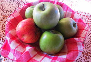 An apple a day keeps the doctor away. Wer täglich einen Apfel isst, benötigt keinen Onkel Doktor, so ein volksmundiger Ausspruch. Die Ernste 2016 ließ leider zu wünschen übrig, die Hoffnung auf ein ertragreicheres Jahr 2017 bleibt jedoch bestehen. Foto: oepb