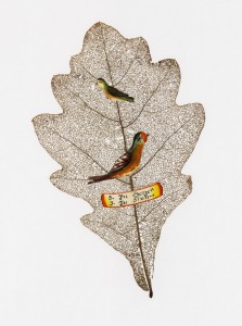  Fundstück: Ein skelettiertes Eichenblatt, mit 2 Papiervögeln und einem Spruchband mit dem Text „3 in Herzen, 3 in Sinn“ (meint: Treu im Herzen, treu im Sinn). Foto: Österreichische Nationalbibliothek