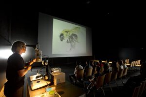 Anhand einer Mikrolabor-Show lernen die Kinder vermehrt die Fauna und Flora kennen und schätzen. Foto: Rita Newman 