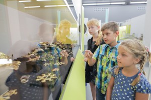 Einblicke gewinnen - im Haus der Geschichte im Museum Niederösterreich zu St. Pölten. Foto: Daniel Hinterramskogler 