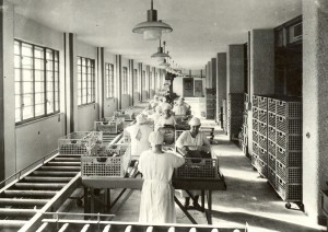Befüllung von Feuchtkörben und Rollenbändern. Ein historisches Foto aus dem Jahre 1946. Foto: Tabakfabrik Linz