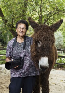 Die Fotografin Jutta Kirchner mit Poitou-Esel selbst vor der Linse. Foto: Daniel Zupanc