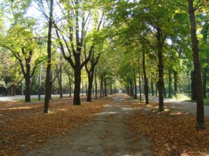 Ein Spaziergang in der Natur - gerade jetzt im Herbst - sollte immer sein. Die richtige Bekleidung hilft dabei, das Immunsystem zu stärken. Foto: oepb