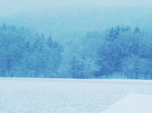 Prof. Hademar Bankhofer gibt einmal mehr wertvolle Tipps zum allgemeinen Wohlbefinden und zur strengen Winterzeit. Foto: oepb