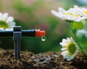 Das GARDENA Micro-Drip-System versorgt Topfpflanzen, Beete und Hecken durch stetiges Tröpfeln, leichtes Rieseln oder mit sanftem Sprühnebel gezielt und wassersparend. Foto: GARDENA