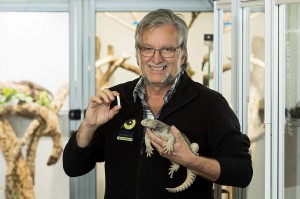 Harald Schwammer mit einer geschmuggelten Ägyptischen Dornschwanzagame. Foto: Daniel Zupanc 