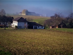 Die Digitalisierung wird die Arbeit auf den Bauernhöfen grundlegend verändern und die moderne Technik soll das Leben, Arbeiten und Wirtschaften am Hof erleichtern. Foto: oepb