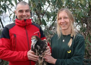 Tierpflegerin Regina Riegler übergibt Schmutzgeier Andi an Green Balkans. Foto: Tiergarten Schönbrunn/Barbara Feldmann