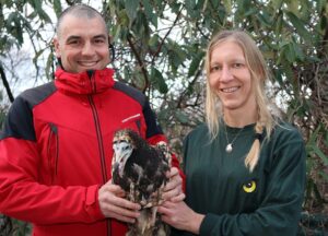  Tierpflegerin Regina Riegler übergibt Schmutzgeier Andi an Green Balkans. Foto: Tiergarten Schönbrunn/Barbara Feldmann