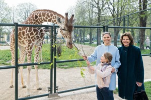 Im Bild von rechts: Königin Silvia von Schweden, Kronprinzessin Victoria und Prinzessin Estelle besuchten am 7. April 2019 den Wiener Tiergarten Schönbrunn und waren vom Ambiente, der Artenvielfalt und der Tierhaltung begeistert. Foto: Daniel Zupanc