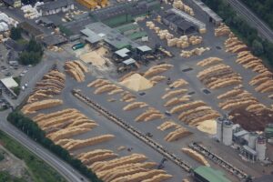 Die rasche Schadholzverwertung durch die Biomasse-Anlagen ist ein Gebot der Stunde. Foto: ÖBMV