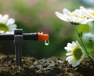 Das längste Hochbeet Wiens clever bewässert: GARDENA unterstützt die City Farm Augarten mit wassersparenden Bewässerungslösungen. Das GARDENA Micro-Drip-System bewässert punktgenau da, wo es die Pflanze am meisten benötigt: an der Wurzel. Foto: GARDENA
