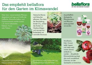 Empfehlung von bellaflora für den Garten im Klimawandel. Foto: bellaflora