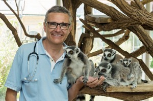 Thomas Voracek mit den Kattas. Foto: Daniel Zupanc