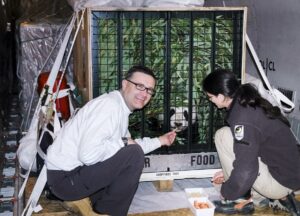 Thomas Voracek mit Zoologin Eveline Dungl beim Transport von Schönbrunns erstem Pandajungtier Fu Long nach China. Foto: Tiergarten Schönbrunn