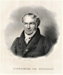 Porträt Alexander von Humboldt. Foto: NHM Wien 