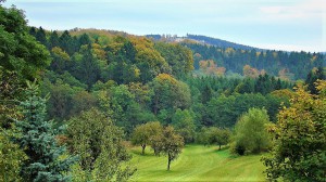 Auch, wenn der Wald nun bunter wird und sich langsam aber sicher auf den Winter vorbereitet, die Schäden die beispielsweise der Borkenkäfer anhand eines heißen Sommers anrichtet, sind bei genauerer Betrachtung überall zu erkennen. Und so ist es nicht verwunderlich, dass landwirtschaftliche Einkommen im Dürrejahr 2018 um 10 Prozent gesunken sind, denn ein vom Borkenkäfer befallenes Nutzholz ist als Schadholz partout nichts mehr wert. Foto: oepb