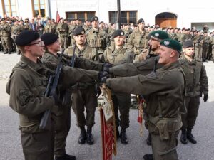 Lautstarkes Treuegelöbnis auf die Standarte des Panzergrenadierbataillons 13. Foto: BMLV / Vzlt Anton Mickla