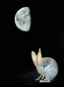 Gibbous Moon Hare. Foto: Dona Jalufka / NHM