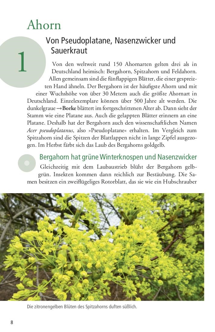 101 Dinge die man über den Wald wissen muss | Redaktion ...