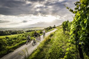 Die Kampagne “Auf zum Wein" lockt Heimaturlauber in Österreichs Weinbaugebiete. Foto: © ÖWM / Robert Herbst