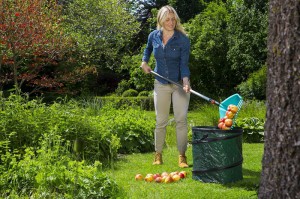 3in1 Multitalent: Mit dem neuen combisystem Schaufel-Rechen von Gardena effizient Laub rechen, mühelos Fallobst sammeln oder Wurzeln aus der Erde sieben. Foto: © GARDENA