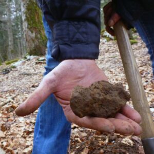  Twannberg Meteorit. Foto: © NHM Wien  